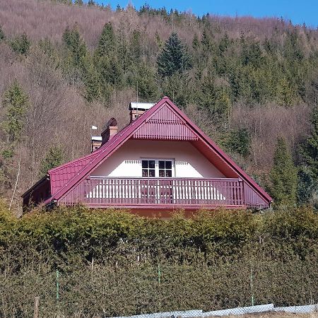 Domek Nad Rzeczka Villa Zabnica Dış mekan fotoğraf