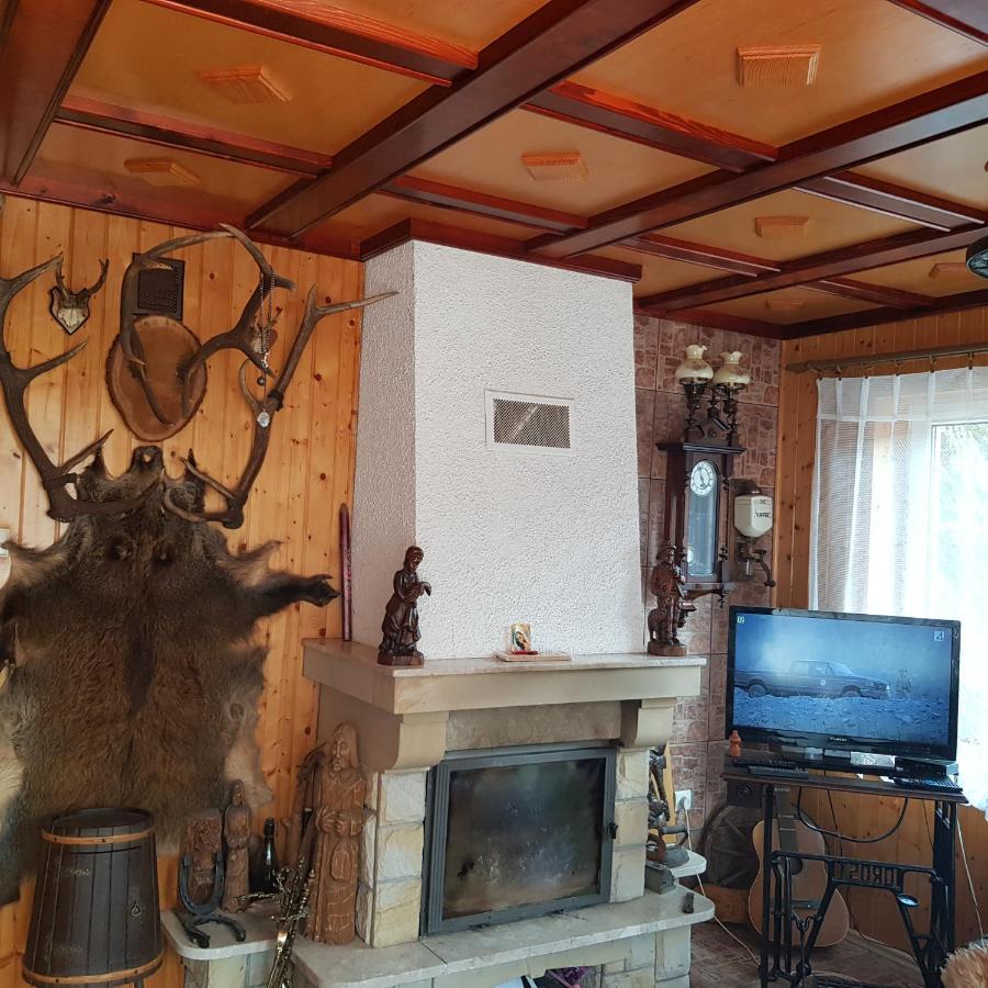 Domek Nad Rzeczka Villa Zabnica Dış mekan fotoğraf